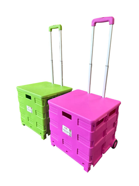 Pack & Go Lid