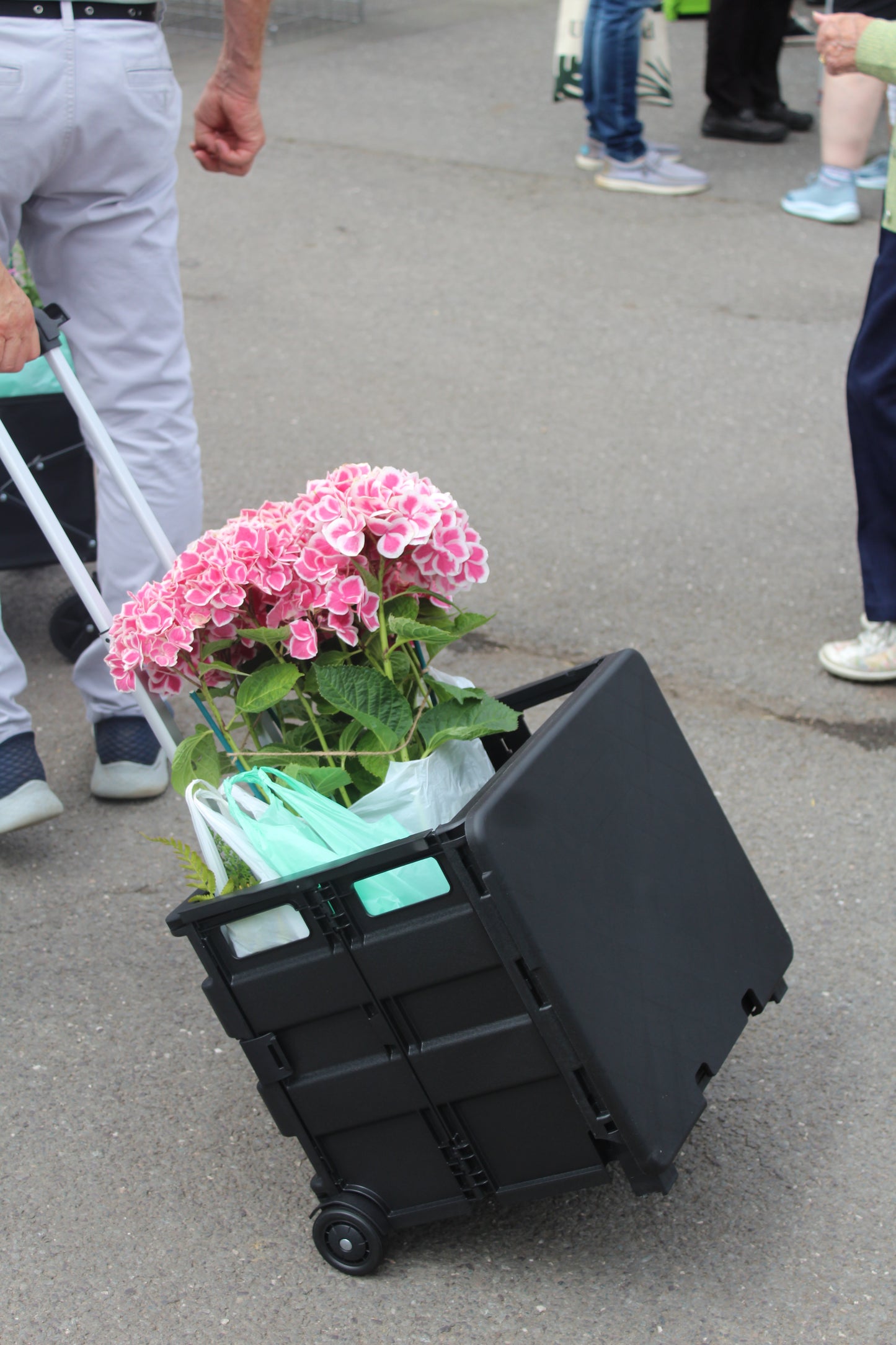 Pack & Go Trolley