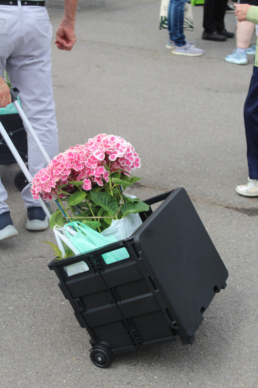 Pack & Go Trolley