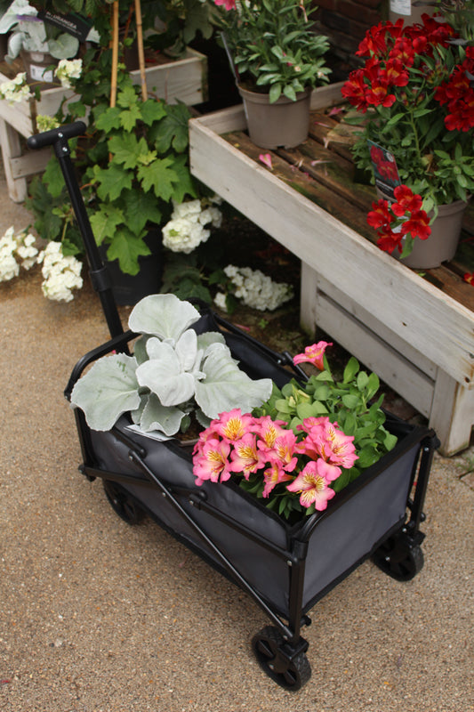 Pack & Go Compact Cart