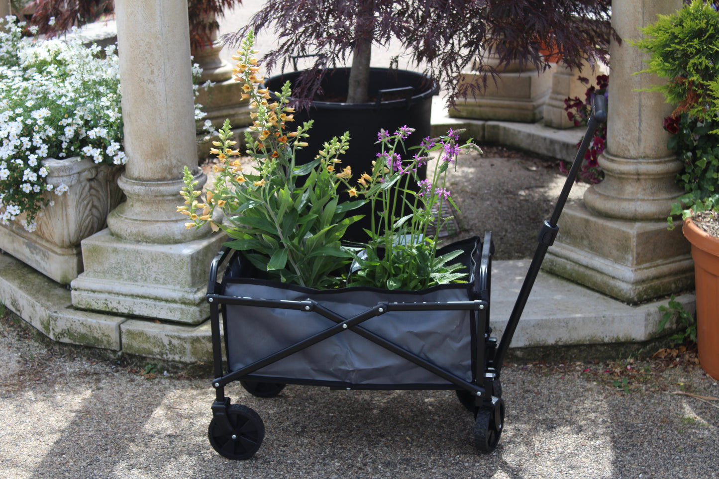 Pack & Go Compact Cart
