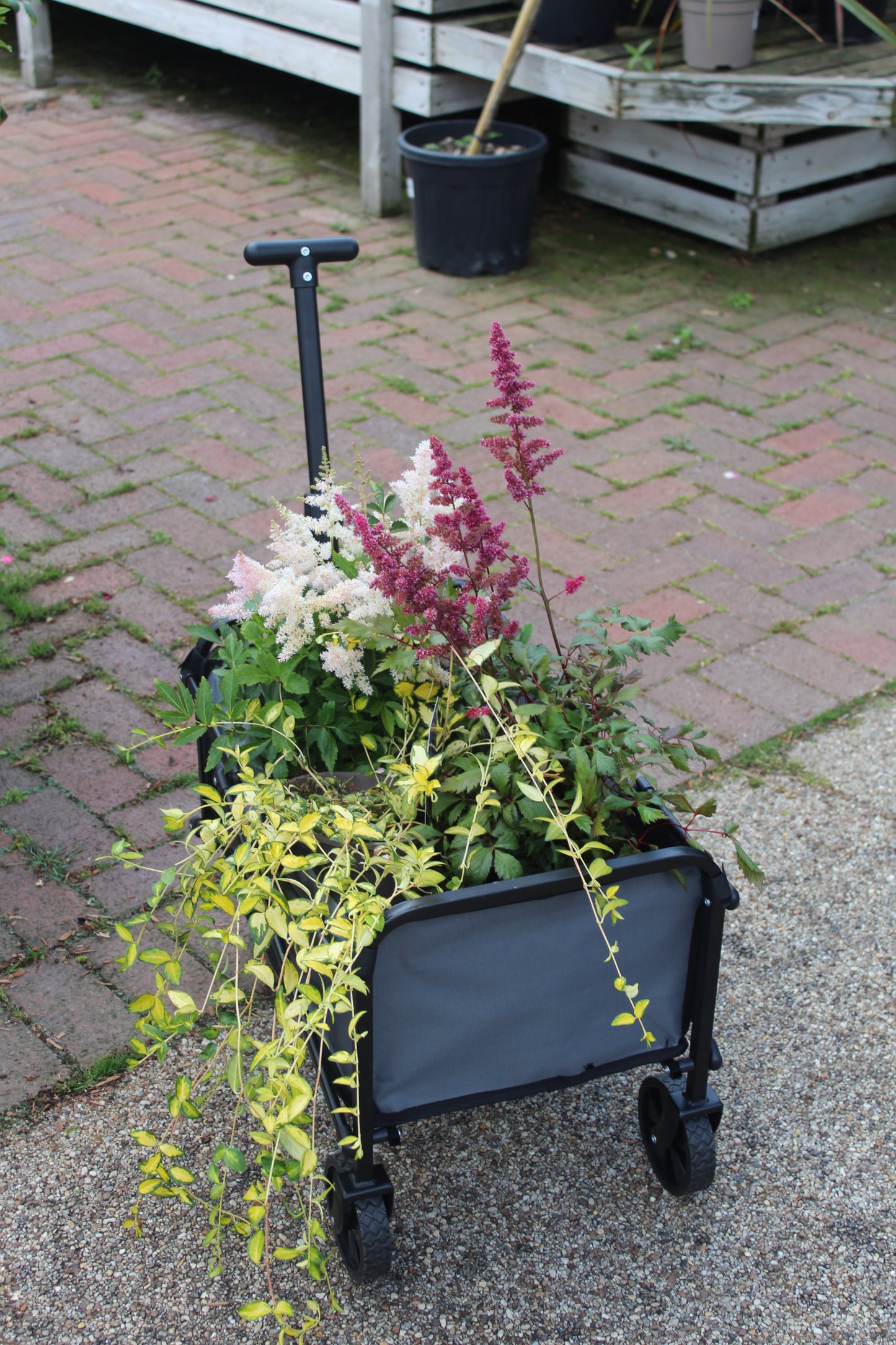Pack & Go Compact Cart